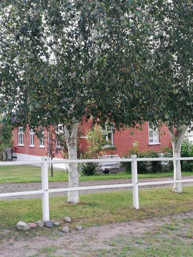 Appartamento Tankefuld Living'S Horsefarm Svendborg Esterno foto