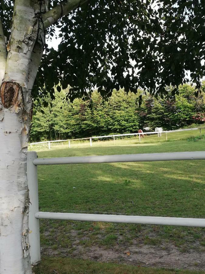 Appartamento Tankefuld Living'S Horsefarm Svendborg Esterno foto